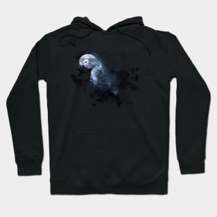 African Grey Parrot Space Nebula Hoodie